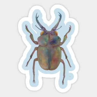 lovebug Sticker